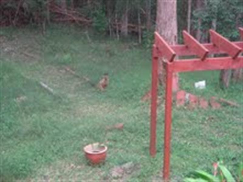 20 Summer Ridge Place, Buderim QLD 4556