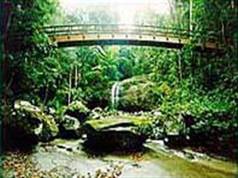 34 Cicada Close, Buderim QLD 4556