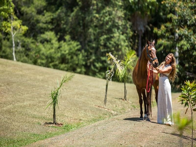 33 Lucida Place, Ilkley QLD 4554