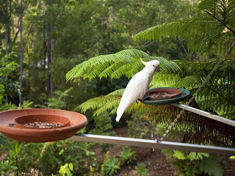 141 Whites Road, Buderim QLD 4556