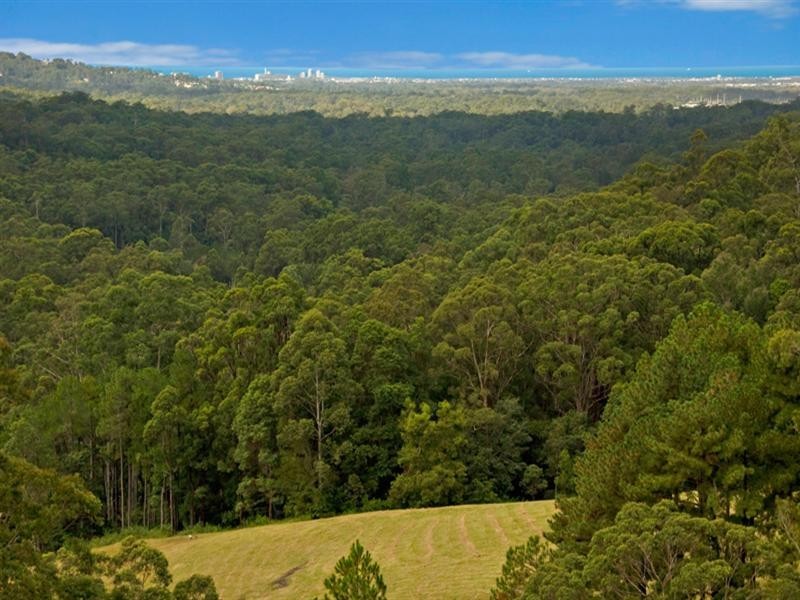 31 Foleys Road, Buderim QLD 4556