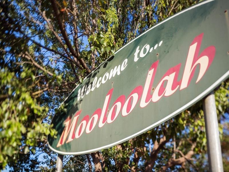 126 Eudlo Road, Mooloolah Valley QLD 4553