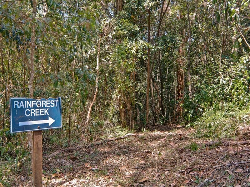 41 Courcheval Terrace, Buderim QLD 4556