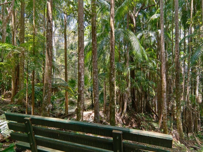 41 Courcheval Terrace, Buderim QLD 4556