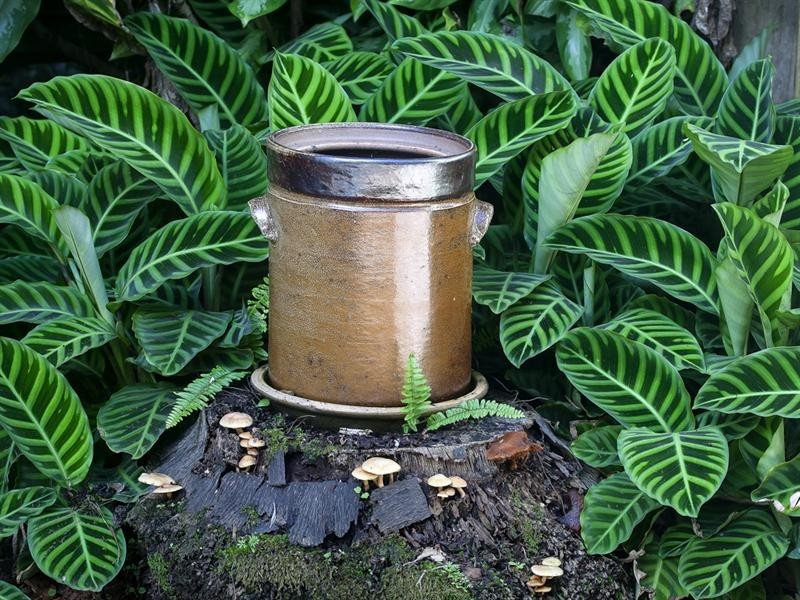 119 Lindsay Road, Buderim QLD 4556