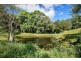 49 Mons Road, Buderim QLD 4556