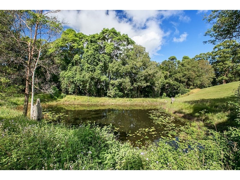 49 Mons Road, Buderim QLD 4556