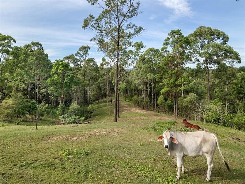 548 Wilson Road, Tanawha QLD 4556