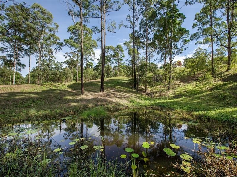 548 Wilson Road, Tanawha QLD 4556