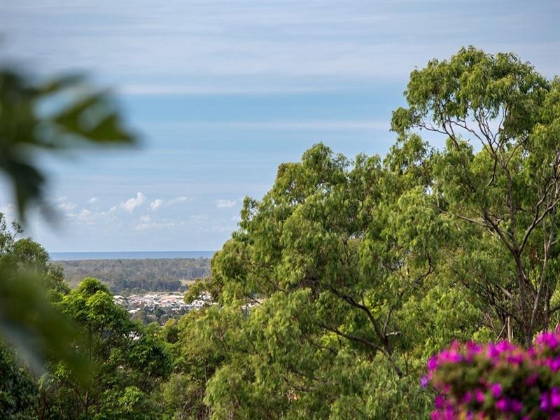 548 Wilson Road, Tanawha QLD 4556