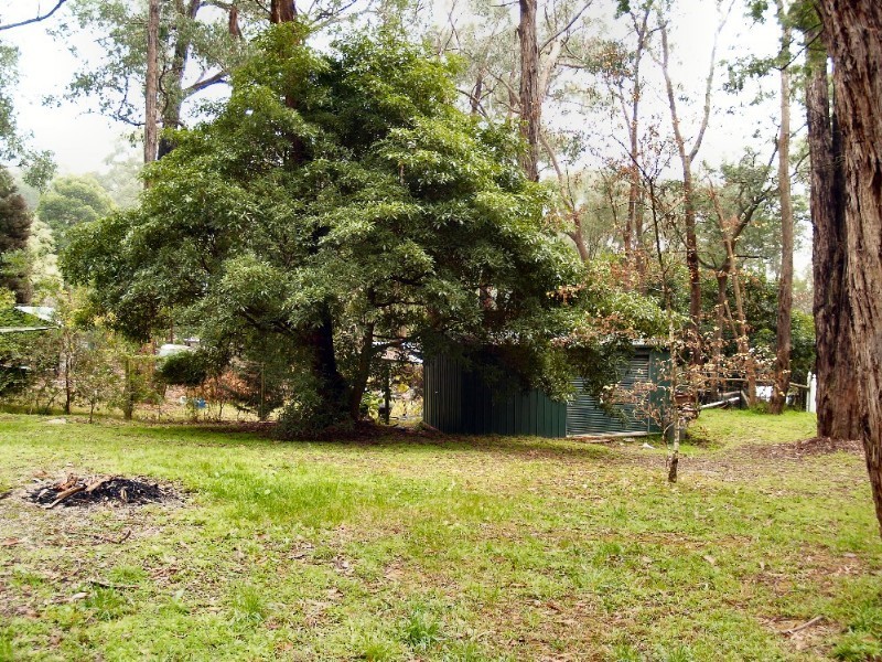 91 Moore Avenue, Montrose VIC 3765