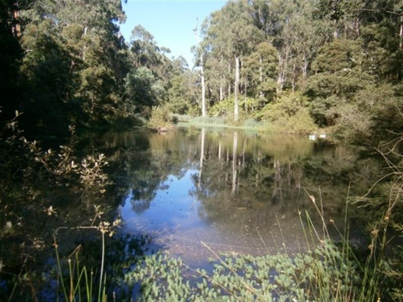 3 Eleanor Drive, Silvan VIC 3795