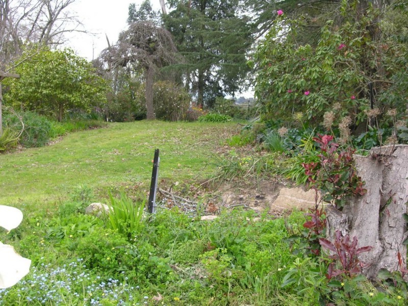 31 Morgan Avenue, Croydon VIC 3136