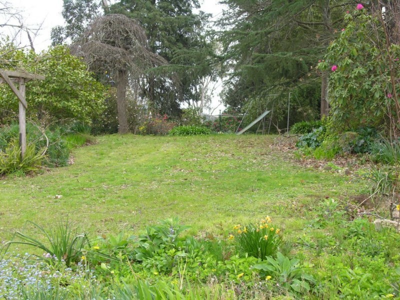 31 Morgan Avenue, Croydon VIC 3136