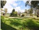 1875 HEALESVILLE-KOOWEERUP Road, Yellingbo VIC 3139