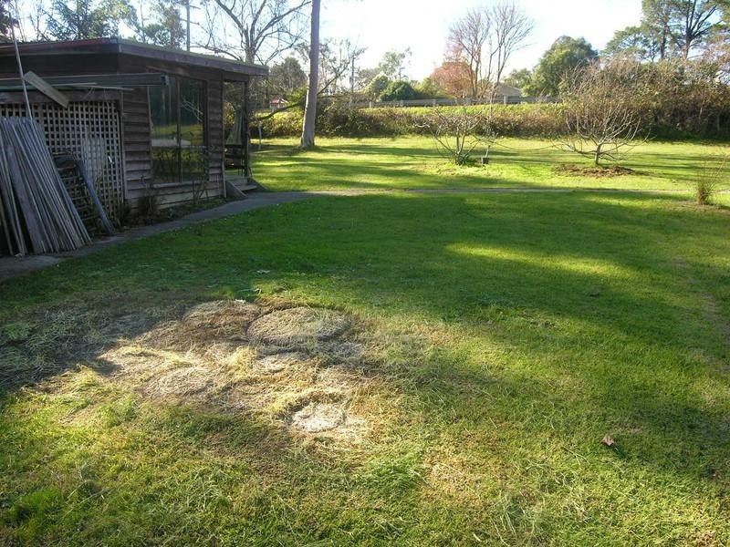 1/1 Bailey Grove, Wandin North VIC 3139