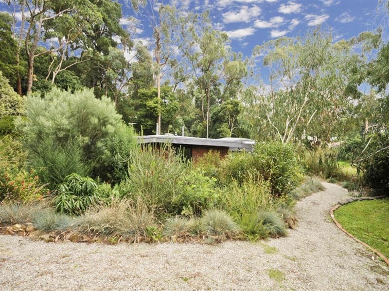 113 Cardigan Road, Mooroolbark VIC 3138