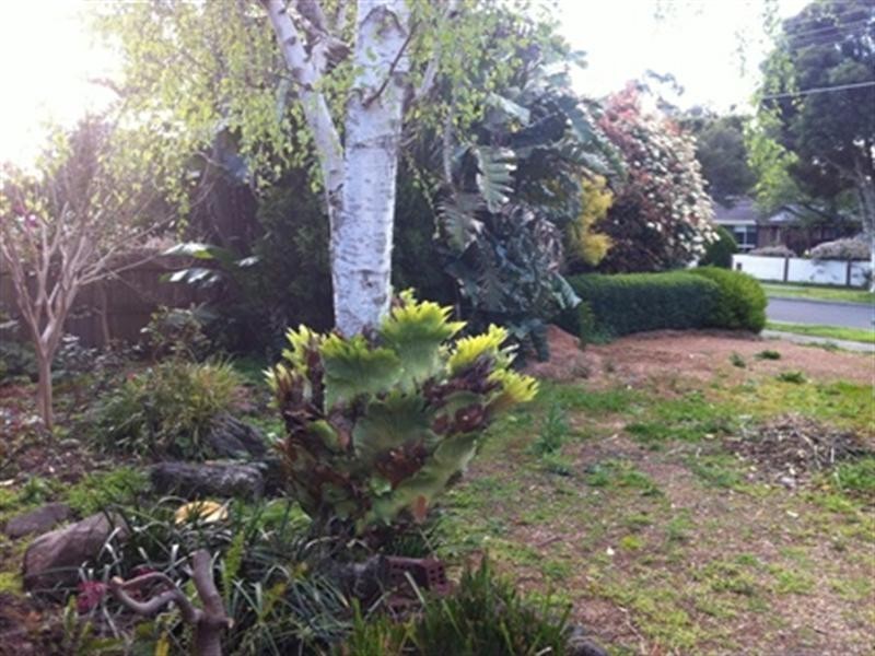 9 Graham Avenue, Kilsyth VIC 3137