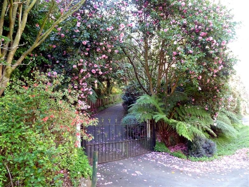 85 Riverside Drive, Warburton VIC 3799