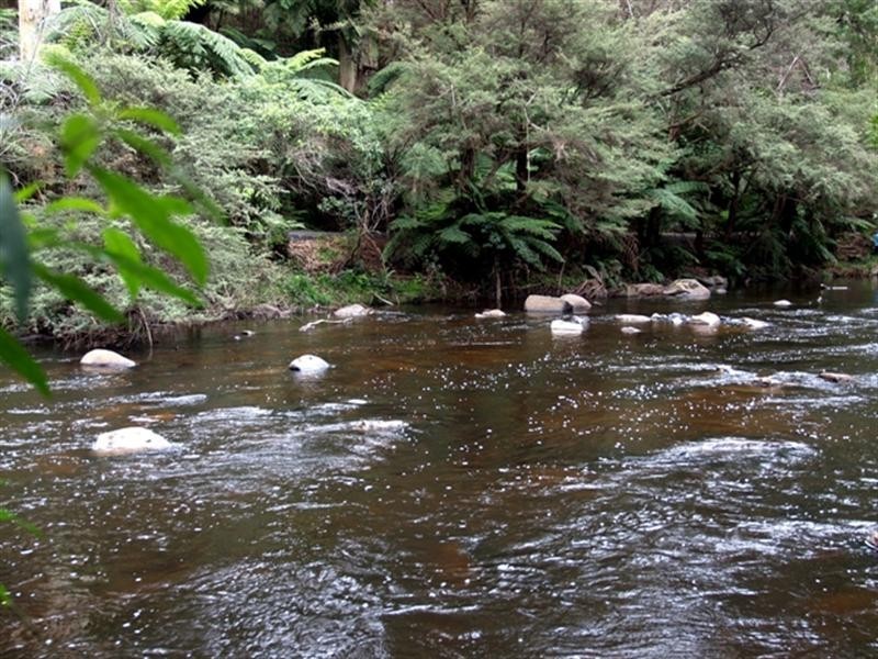 85 Riverside Drive, Warburton VIC 3799