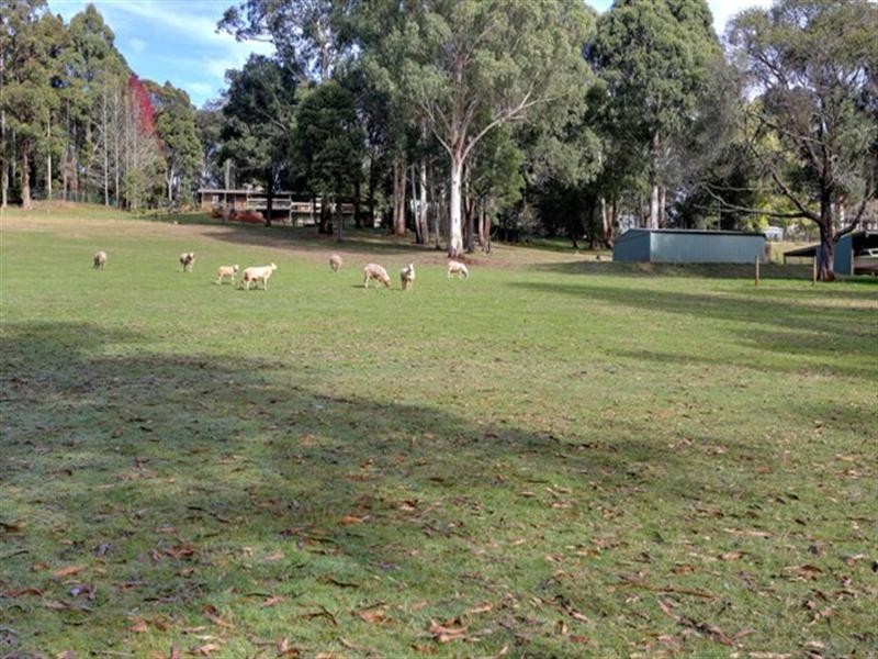 40 Lewis Road, Hoddles Creek VIC 3139