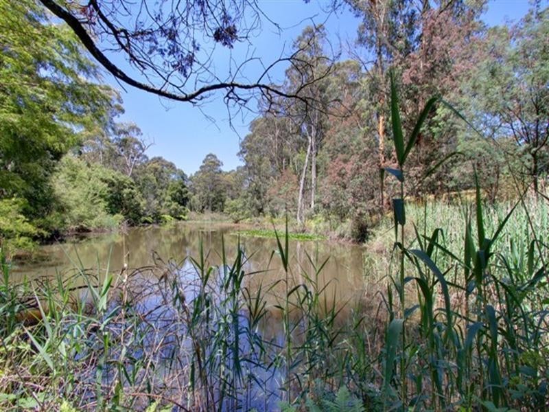 40 Lewis Road, Hoddles Creek VIC 3139