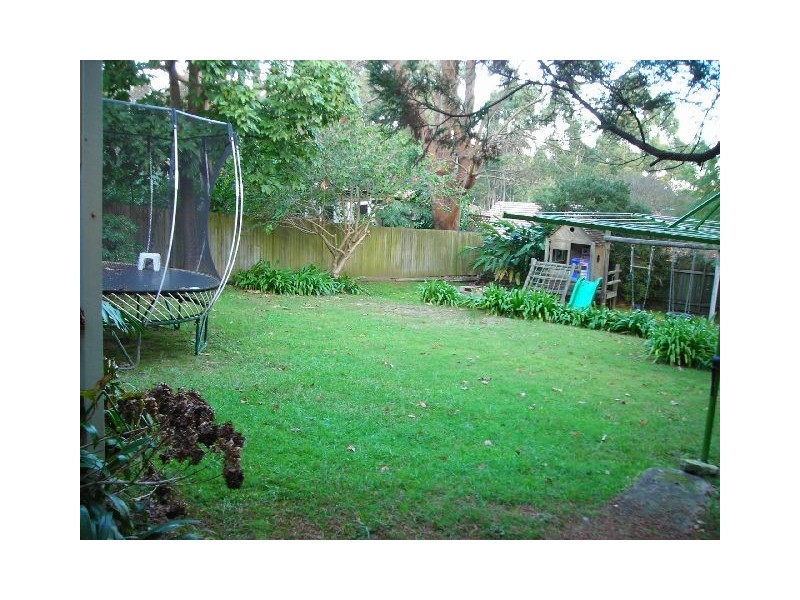 17 Knox Street, Lindfield NSW 2070