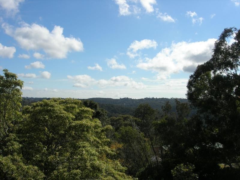 223 Tryon Road, East Killara NSW 2071