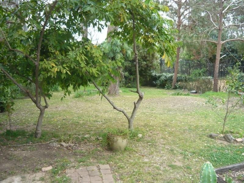 38 Cook Road, Killara NSW 2071