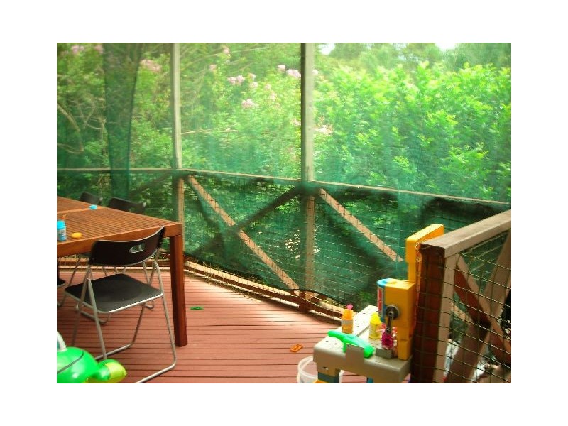 20 Frances Street, Lindfield NSW 2070