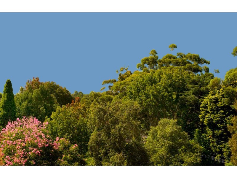 B2 Havilah Road, Lindfield NSW 2070