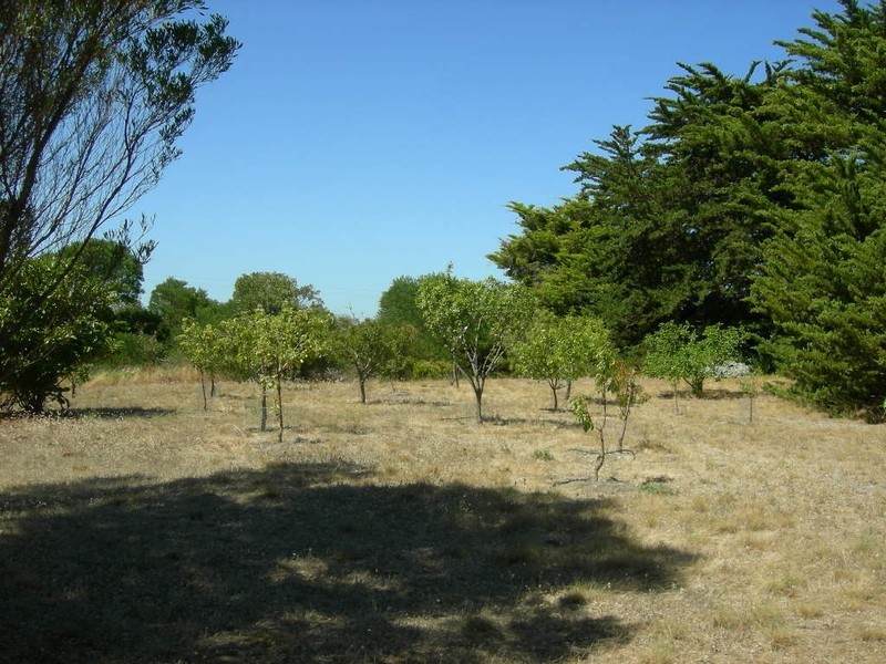 Lot 11 Cape Jaffa Road, Kingston Se SA 5275