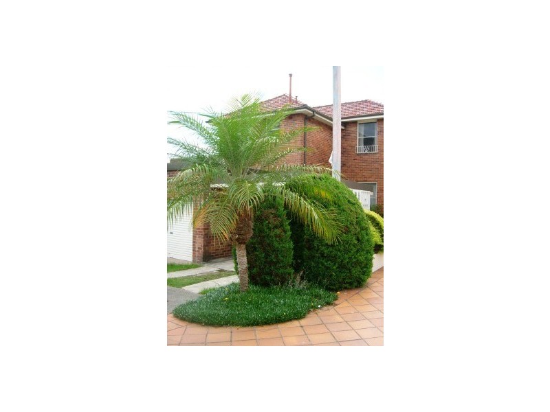 46 Lucretia Avenue, Longueville NSW 2066