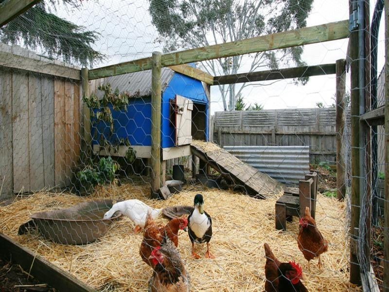 39 Mangans Road, Lilydale VIC 3140