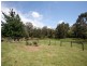 1910 Healesville Koo Wee Rup Road, Yellingbo VIC 3139
