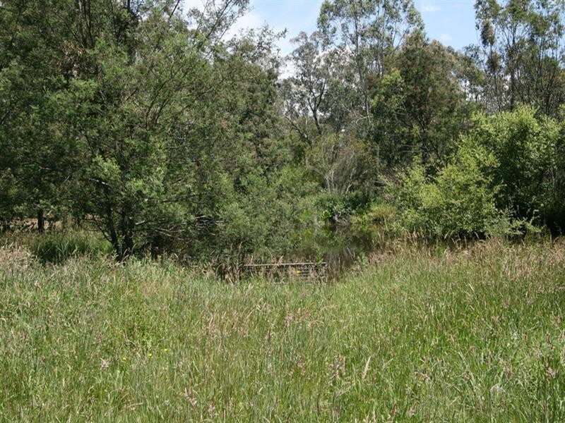 1910 Healesville Koo Wee Rup Road, Yellingbo VIC 3139