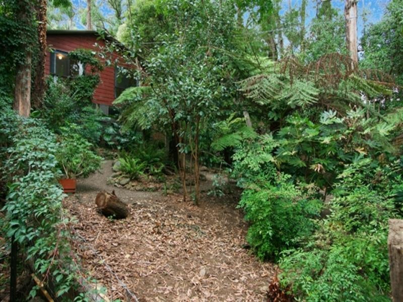 14 Vera Court, Millgrove VIC 3799