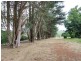 43 Monbulk Seville Road, Seville VIC 3139