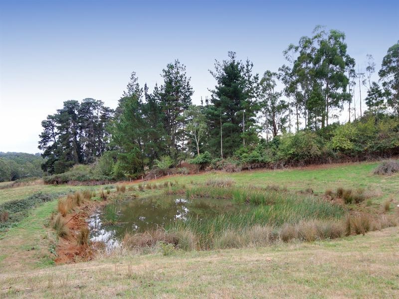 43 Monbulk Seville Road, Seville VIC 3139