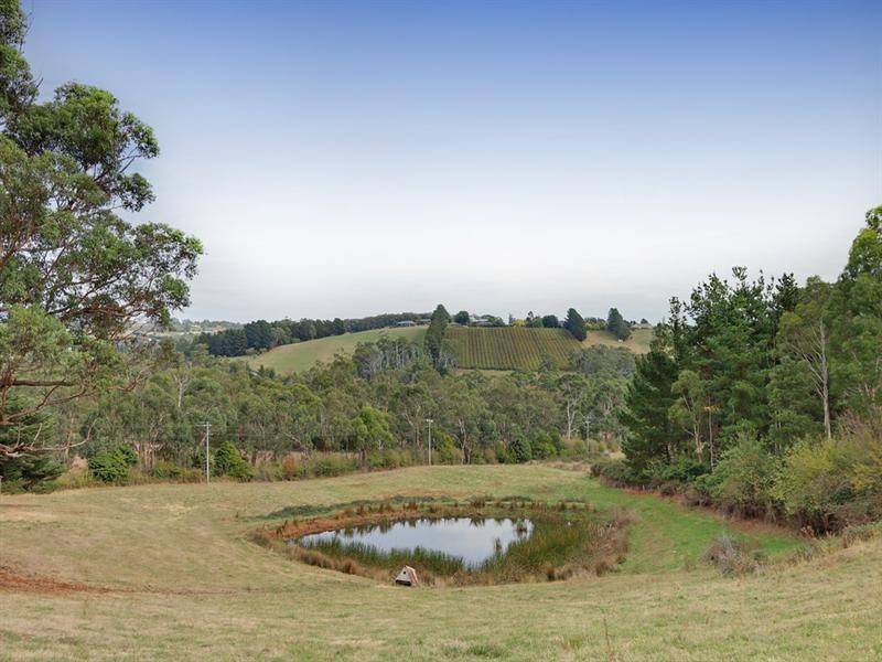 43 Monbulk Seville Road, Seville VIC 3139