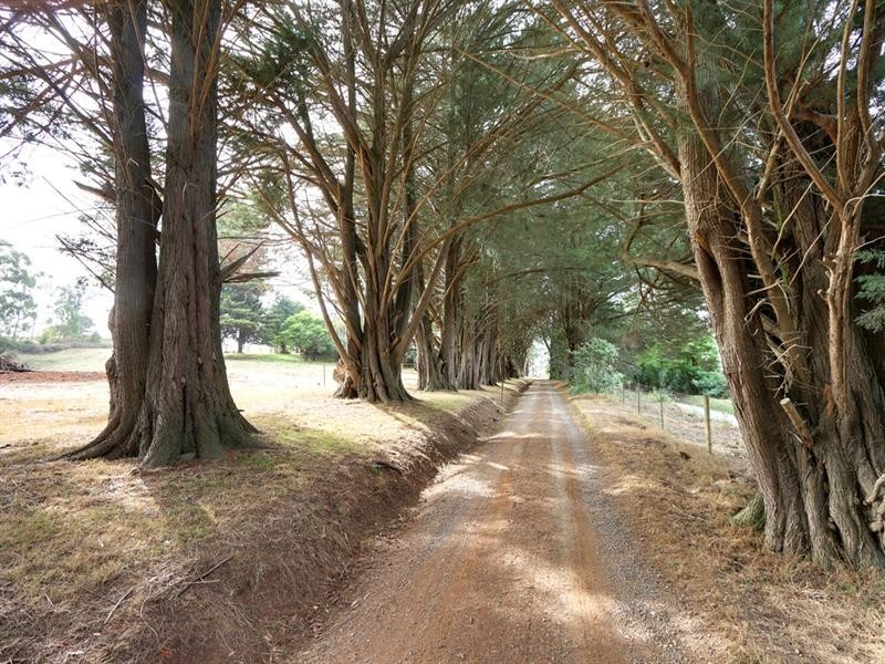 43 Monbulk Seville Road, Seville VIC 3139