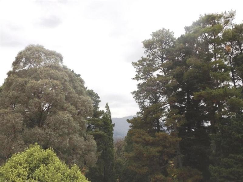 56B Birmingham Road, Mount Evelyn VIC 3796