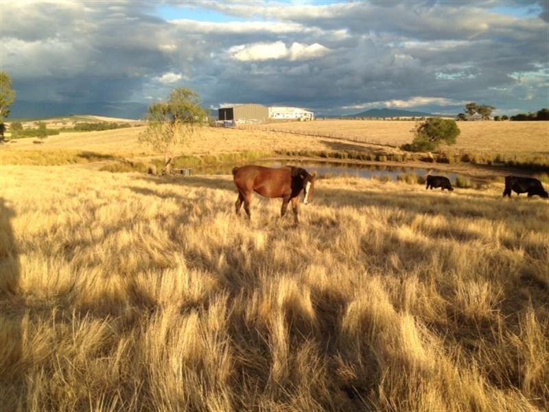 22 Henderson Drive, Yarra Glen VIC 3775