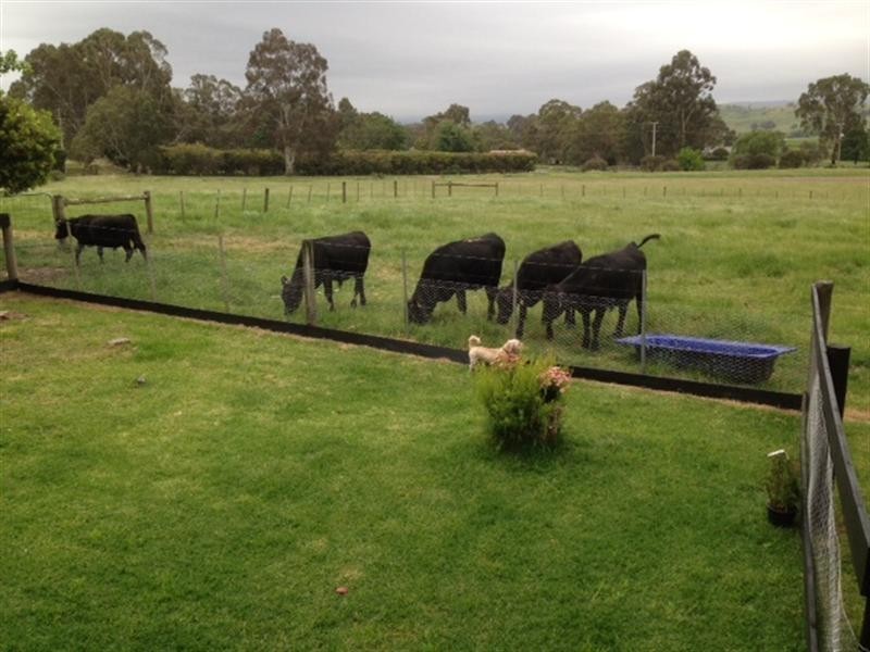 22 Henderson Drive, Yarra Glen VIC 3775