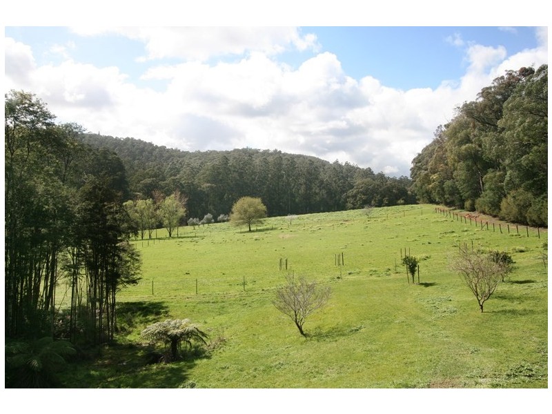 135 Beenak Road, Hoddles Creek VIC 3139
