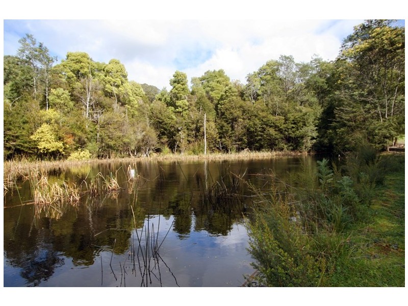 135 Beenak Road, Hoddles Creek VIC 3139