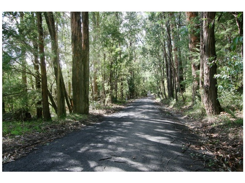 135 Beenak Road, Hoddles Creek VIC 3139