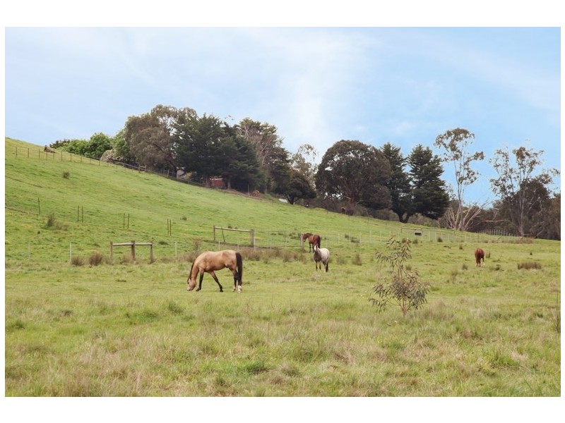 5485 Melba Highway, Yea VIC 3717