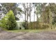 520 Beenak Road, Yellingbo VIC 3139