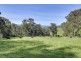 520 Beenak Road, Yellingbo VIC 3139